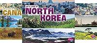 Algopix Similar Product 17 - Let's Look at Countries (22 Book Series)