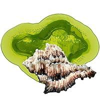 Algopix Similar Product 13 - Marvelous Molds Lace Murex Seashell