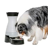 Algopix Similar Product 15 - PetSafe Healthy Pet Water Station 