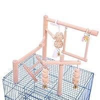 Algopix Similar Product 12 - QBLEEV Parrot Playstand Bird Play Stand