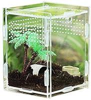 Algopix Similar Product 11 - HTDHS Magnetic Transparent Reptile