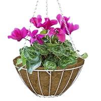 Algopix Similar Product 15 - CobraCo White 12Inch Growers Style