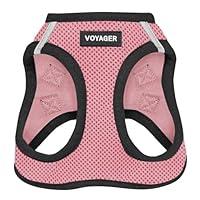 Algopix Similar Product 8 - Voyager StepIn Air Dog Harness  All