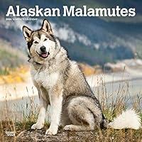 Algopix Similar Product 7 - Alaskan Malamutes  2024 12 x 24 Inch