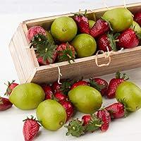 Algopix Similar Product 10 - Factory Direct Craft Artificial Limes