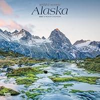 Algopix Similar Product 10 - Alaska Wild  Scenic 2025 12 X 24 Inch