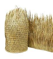 Algopix Similar Product 17 - Forever Bamboo 51110 Mexican Palm