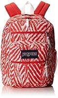 Algopix Similar Product 8 - JanSport Big Student Coral Peaches Wild