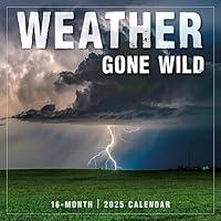 Algopix Similar Product 7 - Weather Gone Wild 2025 Wall Calendar