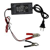 Algopix Similar Product 4 - AURELIO TECH 12V12A Transportable