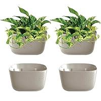 Algopix Similar Product 18 - WallyGrow Eco Wall Planter Create a