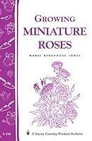 Algopix Similar Product 13 - Growing Miniature Roses Storeys