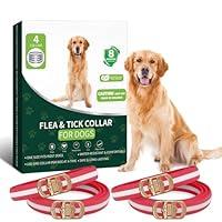 Algopix Similar Product 16 - WEALLIN 4Pack Flea and Tick Collar for