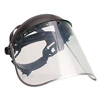 Algopix Similar Product 2 - Portwest PW96 Face Shield Plus Clear