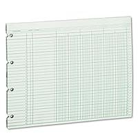 Algopix Similar Product 4 - Wilson Jones Accounting Sheets Six
