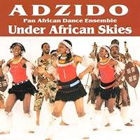 Algopix Similar Product 7 - Under African Skies
