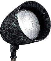 Algopix Similar Product 18 - Dabmar Lighting DPR38VG Par 38 Spot