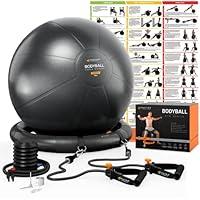 Algopix Similar Product 4 - Exercise Ball Chair Yoga Ball Chair