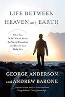 Algopix Similar Product 5 - Life Between Heaven and Earth What You