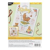 Algopix Similar Product 19 - Bucilla Sweet Baby Birth Record Kit