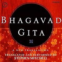 Algopix Similar Product 18 - Bhagavad Gita: A New Translation