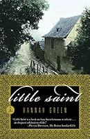 Algopix Similar Product 4 - Little Saint Modern Library