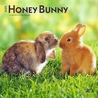 Algopix Similar Product 10 - Honey Bunny 2025 7 X 14 Inch Monthly