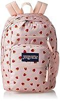 Algopix Similar Product 4 - JANSPORT Big Student