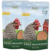 Algopix Similar Product 20 - Dried Mealworms  100 Natural
