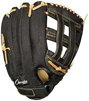 Algopix Similar Product 3 - Champion Sports Physical Education