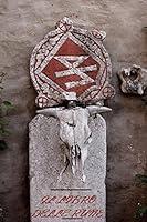 Algopix Similar Product 11 - Il libro delle Rune Illustrato