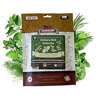 Algopix Similar Product 9 - Culinary Herb Seeds Variety Pack 