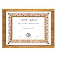 Algopix Similar Product 2 - NuDell 18812M AwardAPlaque Document