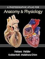 Algopix Similar Product 8 - Photographic Atlas for Anatomy 