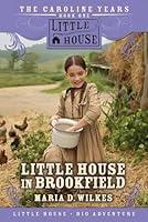 Algopix Similar Product 6 - Little House in Brookfield The