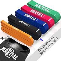 Algopix Similar Product 6 - IFLOVE Workout Equipment for Home
