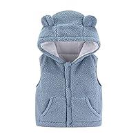 Algopix Similar Product 1 - Baby Girl Boy Fleece Hooded Jacket Vest