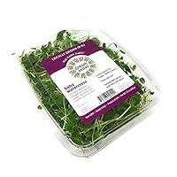 Algopix Similar Product 5 - Dream Greens Greens Baby Watercress