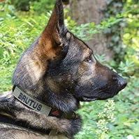 Algopix Similar Product 7 - United States Tactical USTK9C00101QL