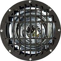 Algopix Similar Product 1 - Dabmar Lighting FG4320GRL Fiberglass