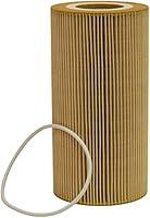 Algopix Similar Product 5 - Luber-finer LP6043 Heavy Duty Oil Filter