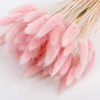 Algopix Similar Product 11 - 50PCS Home Decoration Lagurus Ovatus