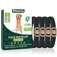 Algopix Similar Product 14 - 4 Pack Flea Collar for Dogs Dog Flea