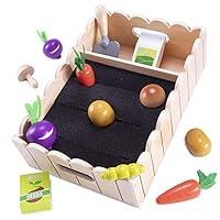 Algopix Similar Product 7 - My Little Garden  Growing Vegetables