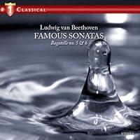 Algopix Similar Product 15 - Sonata for Piano No 17 in D Minor Op