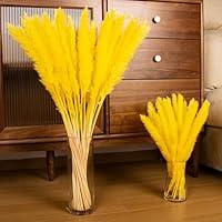 Algopix Similar Product 16 - XMFAYUAN Yellow Pampas Grass Bouquet