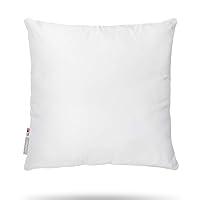 Algopix Similar Product 8 - Pal Fabric Square Sham Pillow Insert