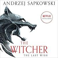 Algopix Similar Product 8 - The Last Wish