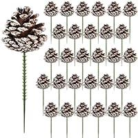 Algopix Similar Product 17 - 3Inch Christmas Natural Pine Cones