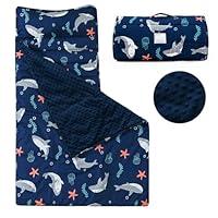 Algopix Similar Product 19 - PHF Toddler Nap Mat with Removable